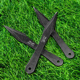 Load image into Gallery viewer, Throwing tools, 9.4" Stainless Steel No Spin Throwing Set with Nylon Belt Sheath