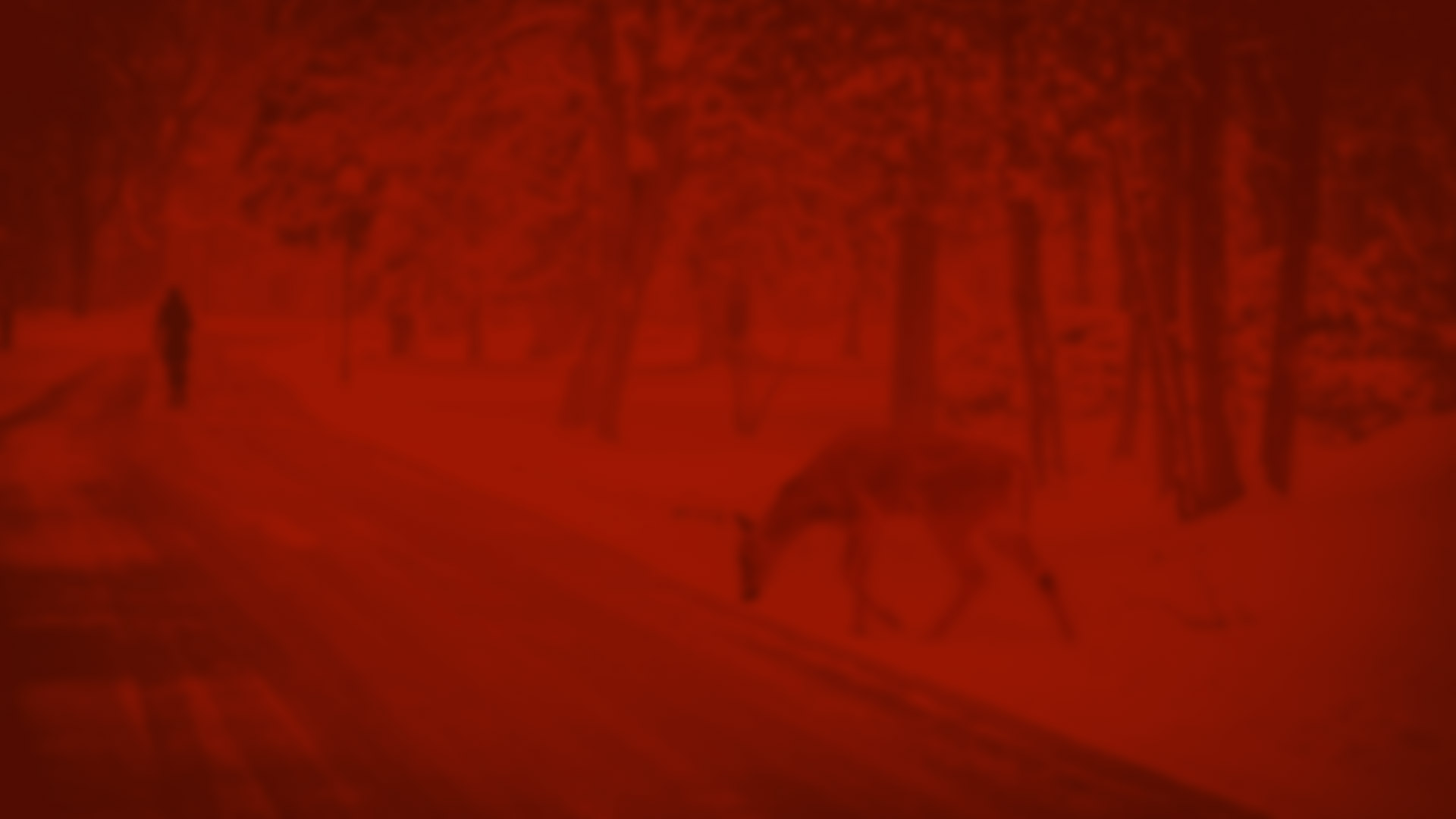 red_deer.jpg